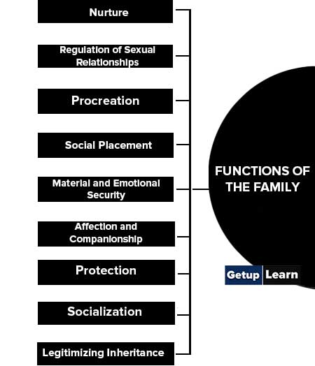 Functions of the Family