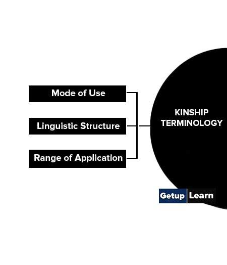 Kinship Terminology