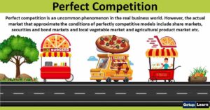 Read more about the article Perfect Competition: Features, Characteristics
