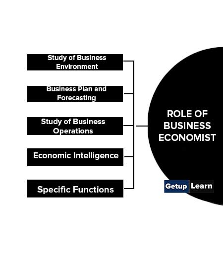 Roles of Business Economist