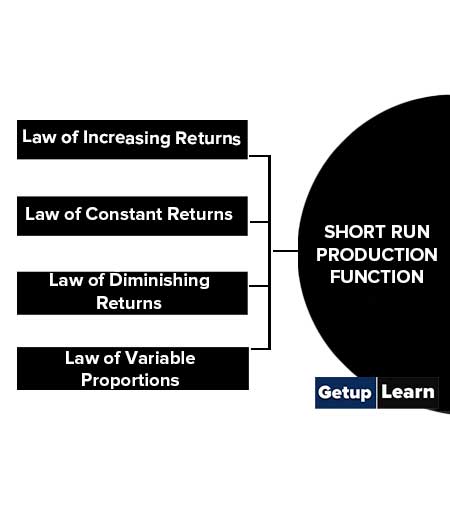 Short Run Production Function