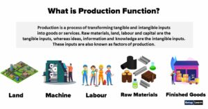 Read more about the article Production Function: Types Laws, Importance, Assumptions, Features