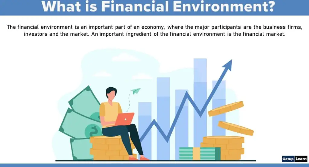 What is Financial Environment