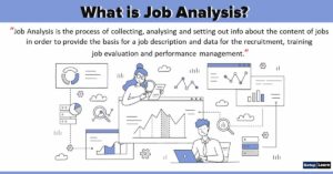 Read more about the article Job Analysis: Definition, Objectives, Scope, Uses, Features, Process, Methods
