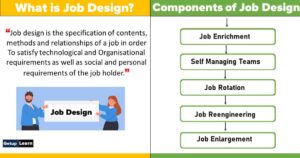 Read more about the article Job Design in Hrm: Factors, Components