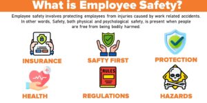 Read more about the article Employee Safety: Objectives, Steps in Safety Programs, Importance, Essentials Elements