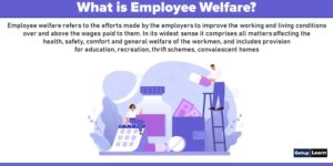 Read more about the article Employee Welfare: Definition, Features, Approaches, Objectives, Types, Benefits