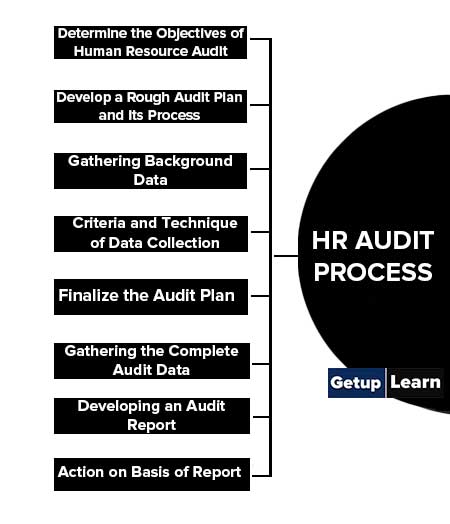 HR Audit Process