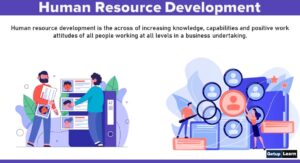 Read more about the article Human Resource Development: Definitions, Objectives, Features, Benefits, Scope, Difference, Challenges