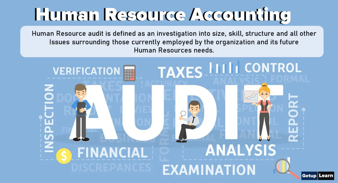 What is Human Resource Auditing