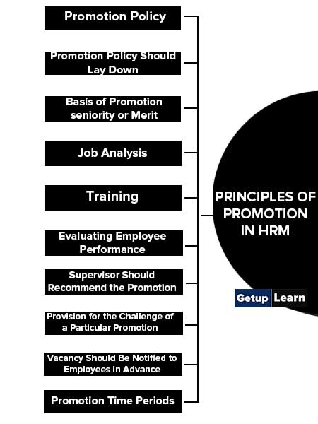 Principles of Promotion in HRM