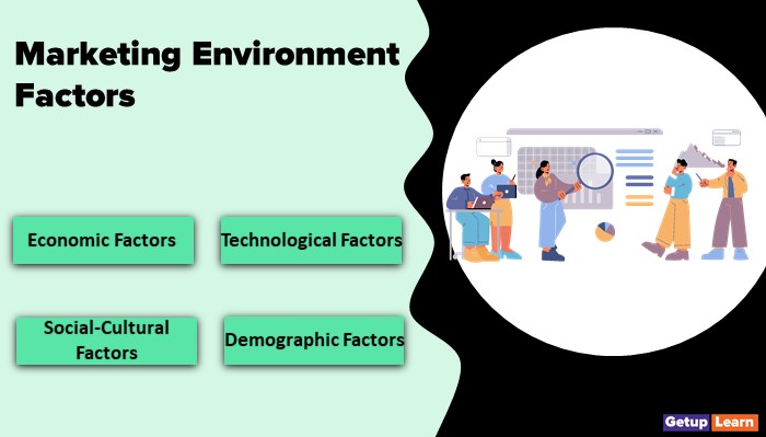 Marketing Environment Factors