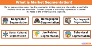 Read more about the article Market Segmentation: Meaning, Definitions, Basis, Types, Steps, Levels, Market Targeting