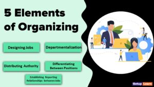 Read more about the article 5 Elements of Organizing in Management
