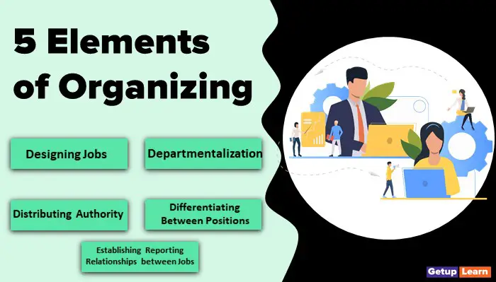 Read more about the article 5 Elements of Organizing in Management