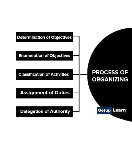 5 Process of Organizing