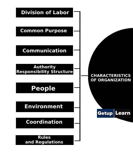 Characteristics of Organization