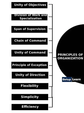 What is Organizing? definition, characteristics, process and importance -  Business Jargons