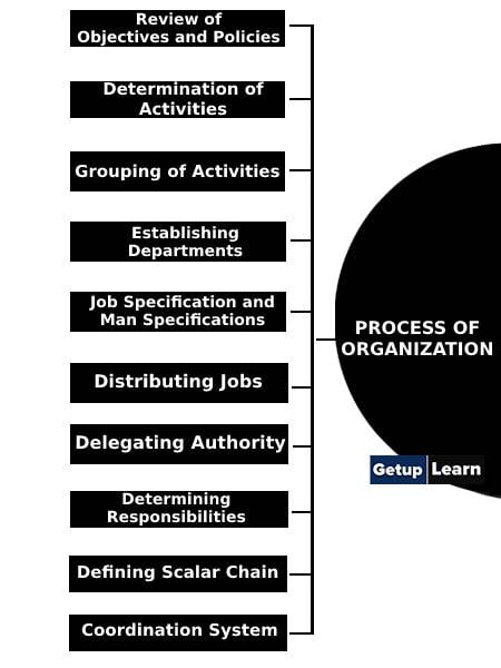 Process of Organization