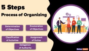 Read more about the article 5 Process of Organizing