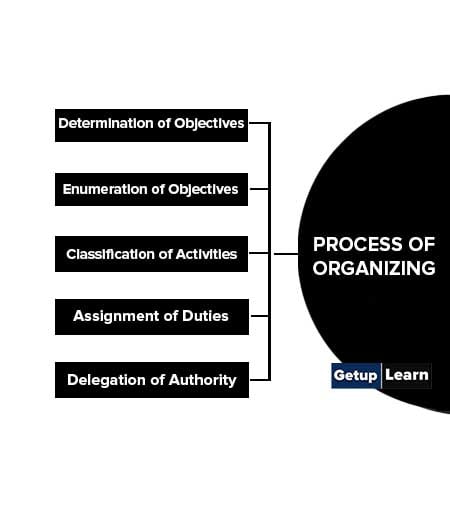 Process of Organizing