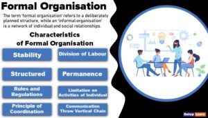 Read more about the article Formal Organisation: Definition, Characteristics, Functions, Principles, Importance, Advantages and Disadvantages, Features, Difference