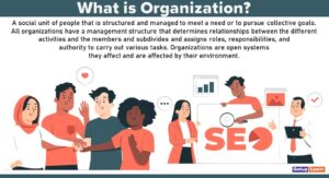Read more about the article Organization: Meaning, Definition, Importance, Characteristics, Process, Principles