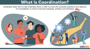 Read more about the article Coordination: Definitions, Principles, Techniques, Process, Importance, Objectives