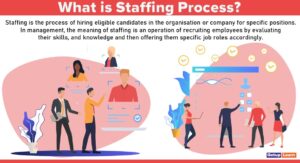 Read more about the article Staffing: Meaning, Definition, Importance, Process, Nature