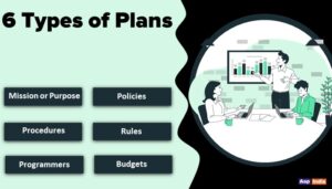 Read more about the article Types of Plans: You Should Know