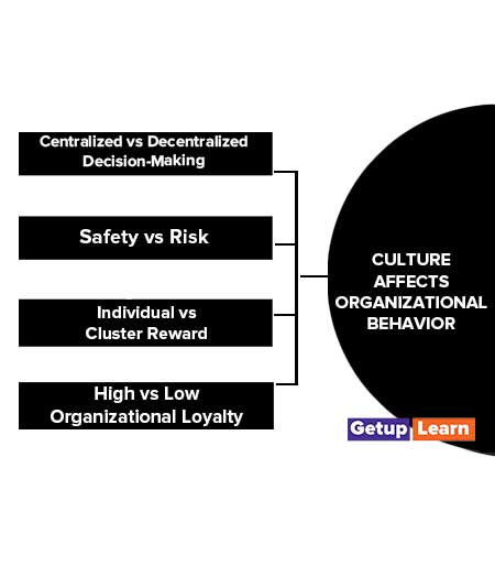 Culture Affects Organizational Behavior