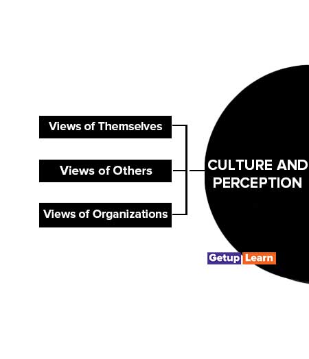 Culture and Perception