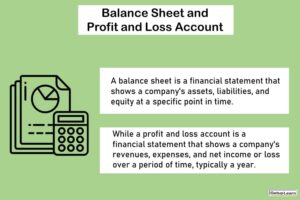 Read more about the article Balance Sheet and Profit and Loss Account: Meaning, Definition, Nature, Concepts, Difference