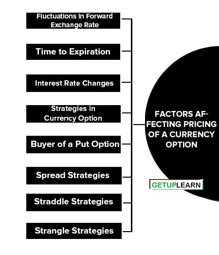 Factors Affecting Pricing of a Currency Option