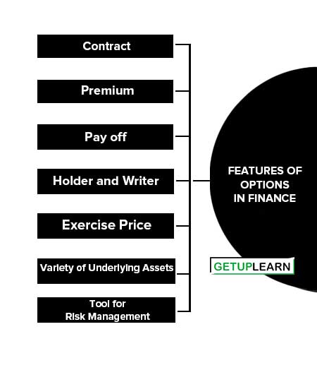 Features of Options in Finance