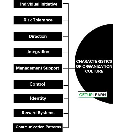 Characteristics of Organization Culture