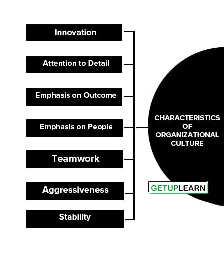 Characteristics of Organizational Culture