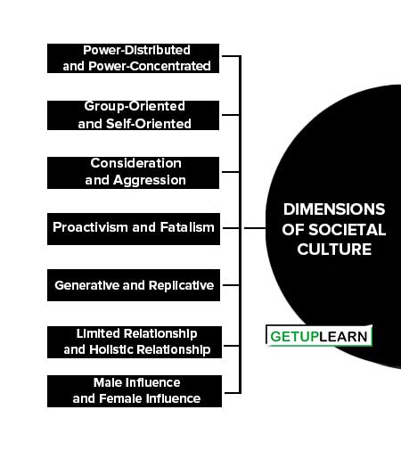 Dimensions of Societal Culture