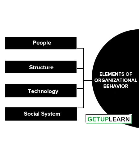 Elements of Organizational Behavior