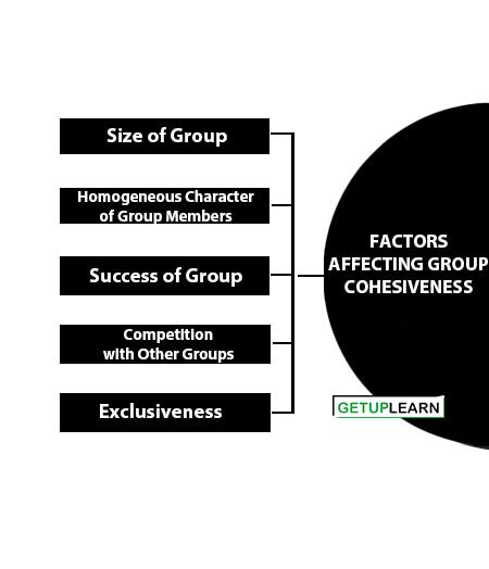 Factors Affecting Group Cohesiveness