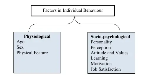 Foundations of Individual Behavior