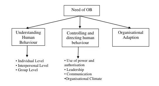 Importance of Studying Organizational Behavior