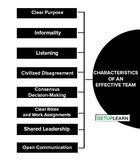 Characteristics of an Effective Team