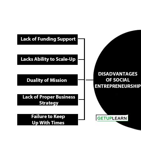 Disadvantages of Social Entrepreneurship