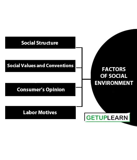Factors of Social Environment in Business